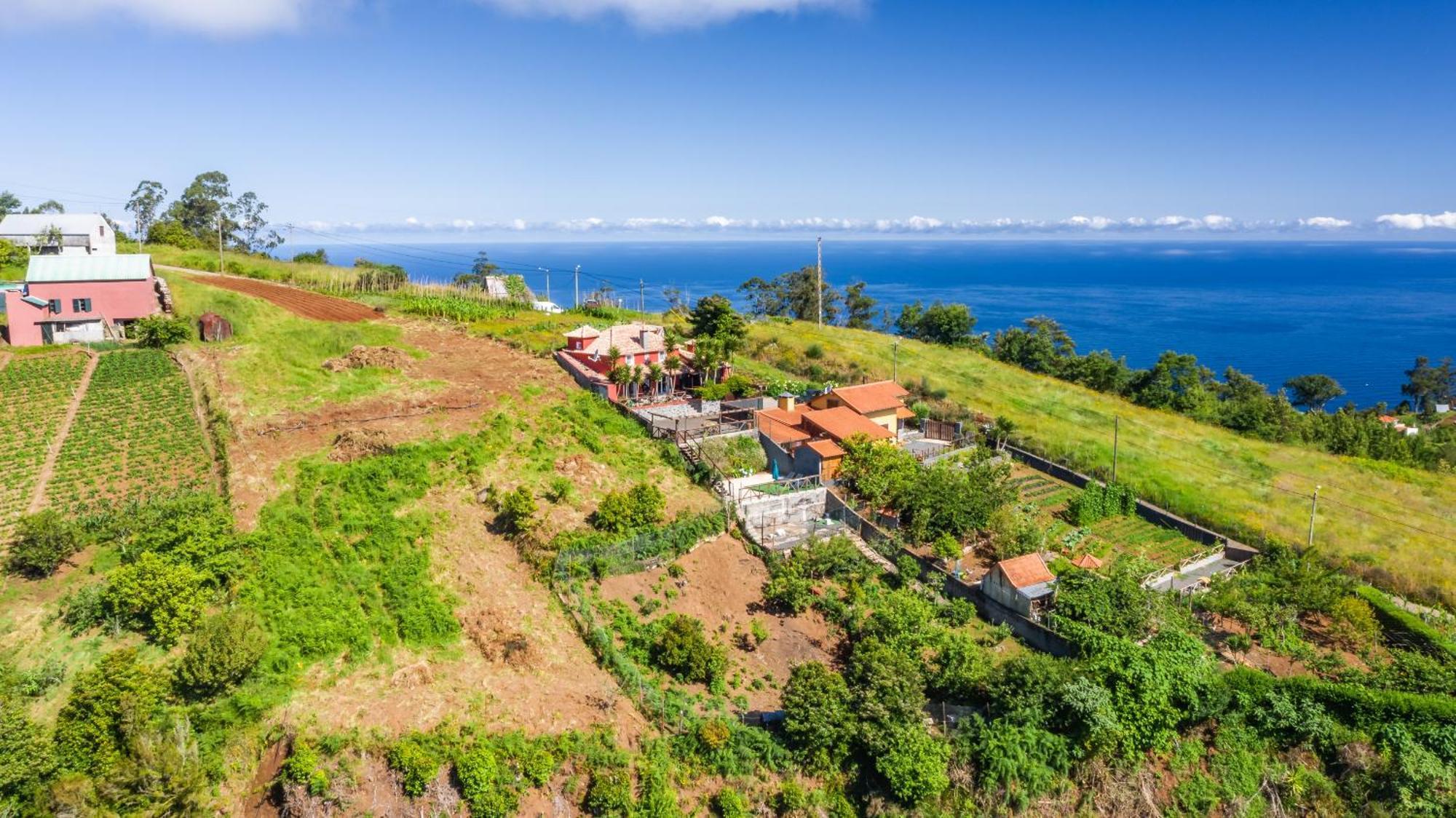 Sao Jorge Cottage - By Wehost Santana  Eksteriør billede